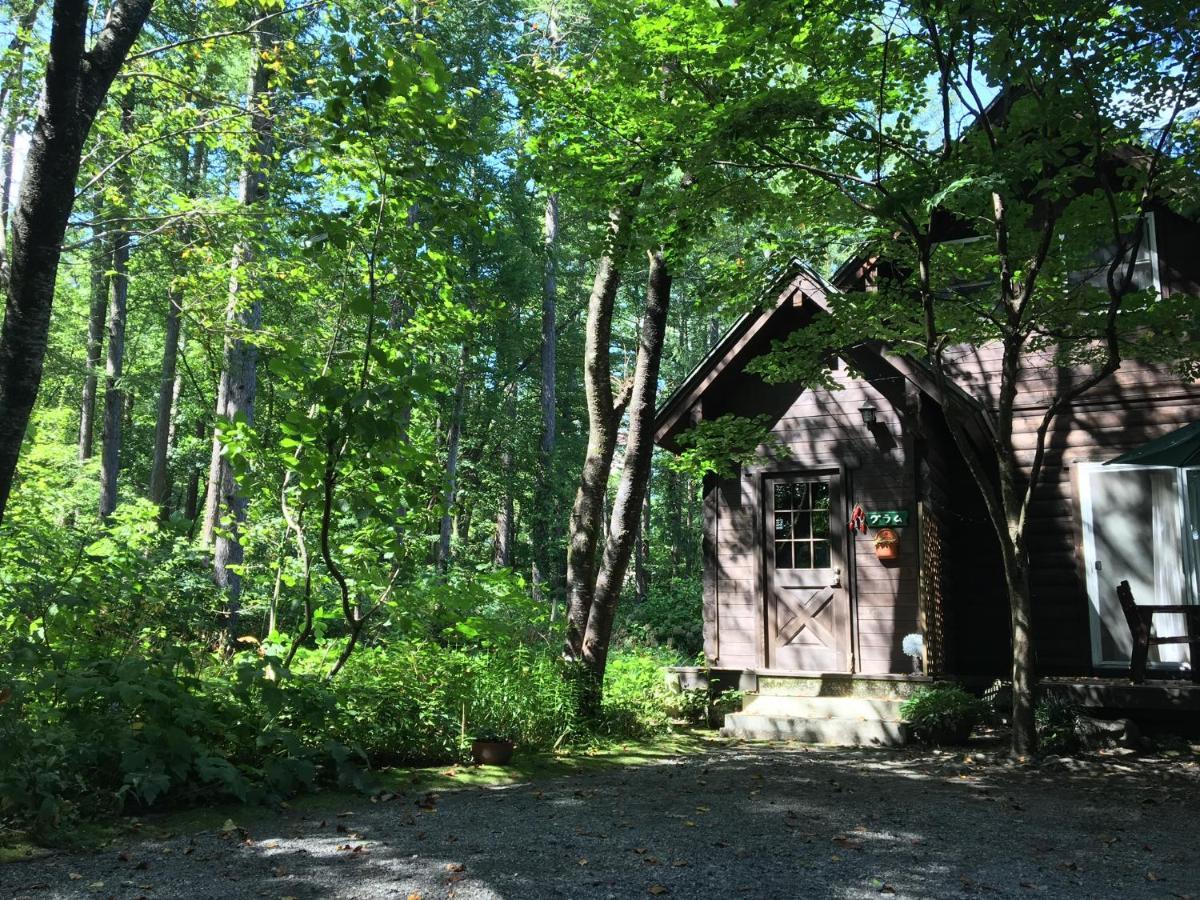 Hakuba Cottage Gram Extérieur photo